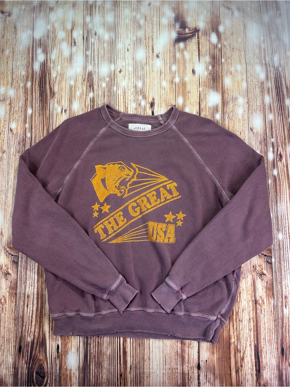 The Great College Distressed Women’s Sweatshirt Size 0